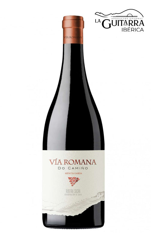 Vía Romana do Camiño Mencía Garda 2024